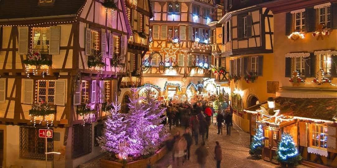 Maison De Vacances Avec Piscine, Proche Strasbourg Et Europa Park Sand Exterior foto